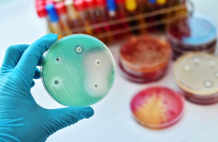 L’Europa affronta l’antibiotico-resistenza: analisi dei dati 2021 e prospettive per il 2023